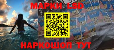 гидропоника Новокубанск