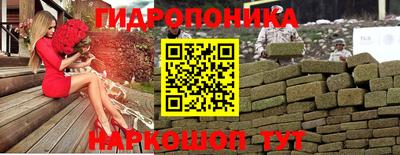 прущие крисы Новодвинск