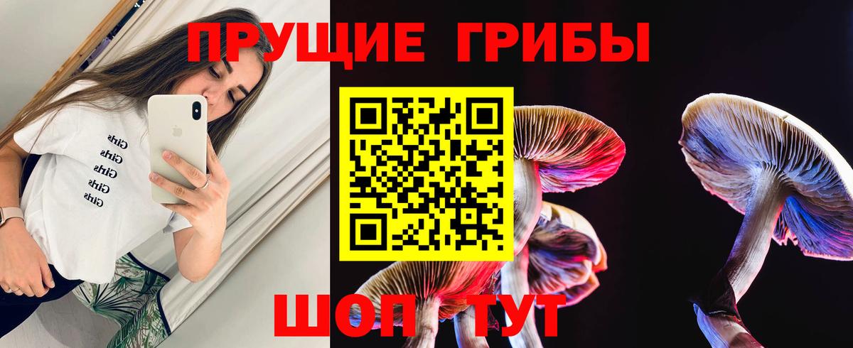 Сухой Лог  Галлюциногенные грибы Psilocybe  Вход с VPN  Галлюциногенные грибы ЛСД 